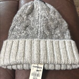 Express Light Gray Cable Knit Beanie
